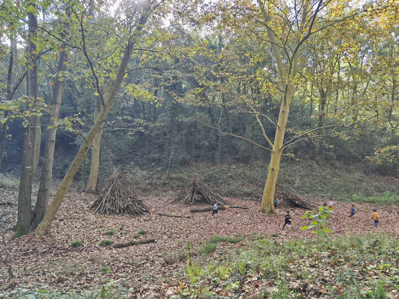 b6e1da7c-4671-4730-af20-efdeb3854215