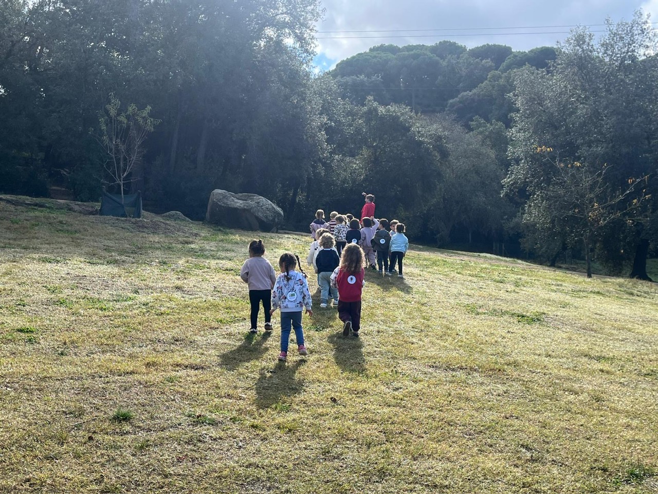 e659177d-708c-4e56-b00e-e052841c90b8