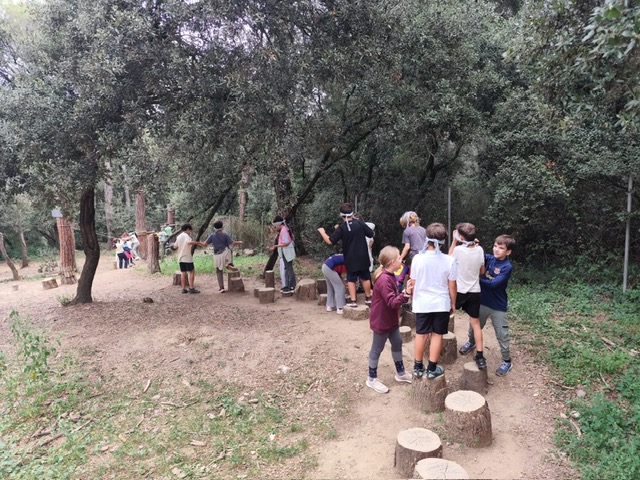 31fb5d8d-f4d9-4d78-9dbf-0e233184fc11