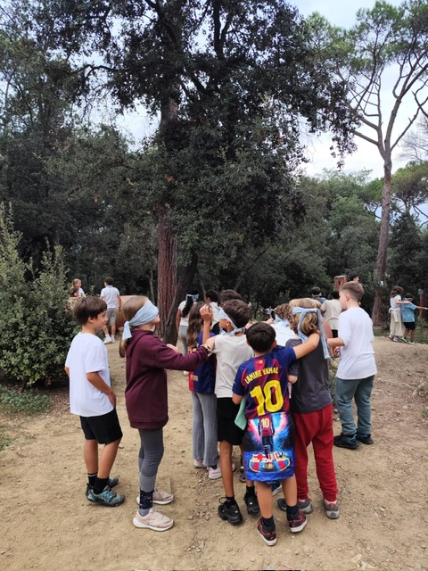 90cf25ca-6ed5-4680-8e5f-aa5e8b0276ef